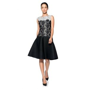 Tadashi Shoji Black and White Lace Fit-and-Flare Dress